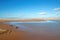 Drying seagrass on isthmus of sand between Pacific ocean and Santa Maria river at Rancho Guadalupe Sand Dunes - California USA