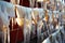 Drying Squid under Sunlight in Hokkaido, Japan