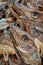 Drying stockfish cod heads in Reine fishing village in Norway