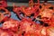 Drying tomatoes in the sun, dried tomatoes, organic dried tomatoes