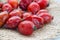 Drying Wild rose hip fruit