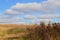 Drying yellow grass and field with a cloudy sky. Autumn relaxing landscape