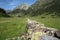Drystone hedge across alpine meadow