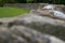 A drystone wall Curves round a field near theYorkshire Dales Village of Burnsall, UK