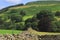 Drystone walls and fields
