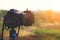 DSLR camera with gradient filter focus on sunrise landscape view.