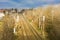 Dual train tracks under bridge in Malacky town