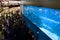 Dubai Aquarium in The Dubai Mall