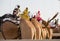 Dubai camel racing club camels with radio manless jockeys.