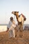 Dubai camel racing club camels taken for warm up walks