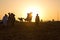 Dubai camel racing club sunset silhouettes of camels