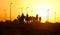 Dubai camel racing club sunset silhouettes of camels