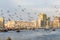 Dubai Creek with lots of seagulls and abra boats at sunset, United Arab Emirates