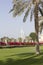 Dubai green promenade with Burj al Arab in the background