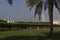 Dubai green promenade with Burj al Arab in the background