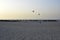 Dubai Kite beach at sunset Jumeirah, Dubai, United Arab Emirates