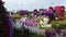 Dubai miracle garden flower clock timelapse