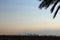 Dubai skyline burj khalifa airplane skylne sky date palm tree silhouette