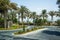 Dubai. Summer 2016. A green oasis overlooking the Four Seasons hotel Jumeirah