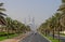 DUBAI, UAE - MAY 14, 2016: road in Jumeirah district