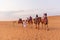 DUBAI, UAE - November 09, 2018: Camel caravan with tourists going through sand dunes in Dubai desert