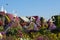 Dubai, United Arab Emirates (UAE), December 2022: Dubai Miracle Garden, a flower garden with enormous flower structures.