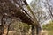 Dubbo Rail Bridge Over Macquarie River