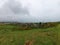 Dublin in the cloudy day. Faraway view.