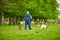 Dublin, Ireland - 05.08.2021: Man with two dogs walking near a herd of wild deer which roam and graze in Phoenix Park, Dublin, Ire