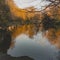 Dublin Lake at sunset