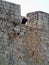 Dubrovnik castle walls