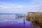 Duck bird hunting trap on blue morning sunrise waterfowl on a calm rural lake pond