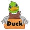 Duck boy with wooden banner