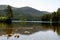 Duck in the Cairngorms National Park