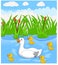 Duck cartoon swims with her four little cute ducklings in the river