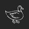 Duck chalk white icon on black background