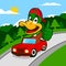 Duck Driving a Car