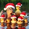Duck and ducklings in a pond wearing Christmas Hats