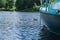 Duck with ducklings among the ships in the marina