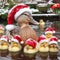 Duck and ducklings wearing Christmas Hats
