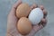 Duck egg and fresh hens eggs on my hand