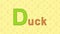 Duck. English ZOO Alphabet - letter D