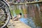 A duck enjoying the water from Delft canal, Netherlands