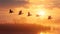 Duck family quacking, flying over meadow at sunrise, nature fun generated