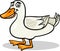 Duck farm bird animal cartoon illustration