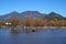 Duck Farm by Lake in Autumn