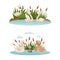 Duck Floating in Pond with Reeds and Grey Ugly Duckling from Fairytale Vector Set