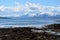 Duck flock swimming in blue fjord with snowy summer mountain background