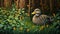 Duck In The Forest: Darkly Detailed Pointillism Illustration