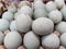 Duck fresh eggs pile for sale at a market as background